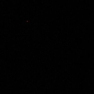 Meet your Posher, Jayden